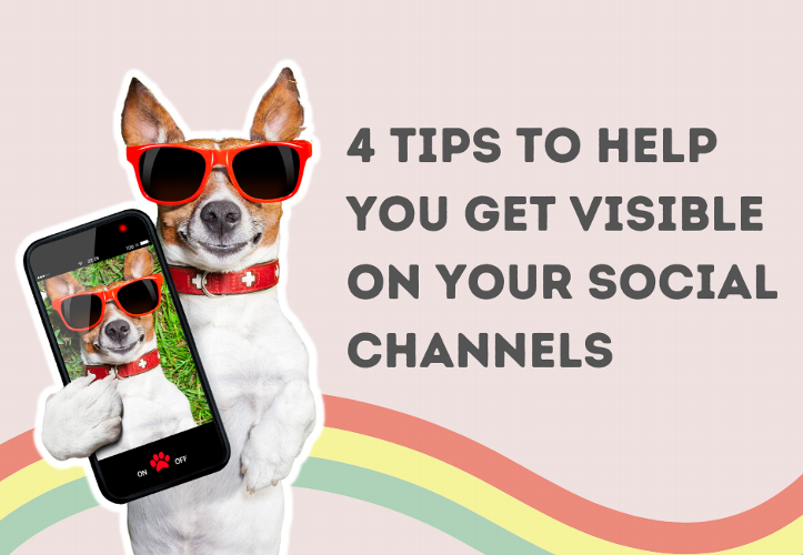 4 Tips on how to get visible on your social media channels Do you struggle to regularly show up on your social media channels? Do you hide behind your logo rather than show your face? If so, you need to read this blog to help you get more visible and connect with your audience!